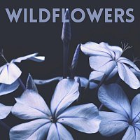 Přední strana obalu CD Wildflowers