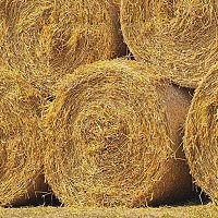 Přední strana obalu CD Lügen sind blond