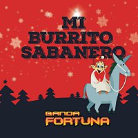 Banda Fortuna – Mi Burrito Sabanero