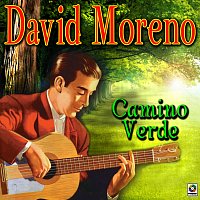 David Moreno – Camino Verde