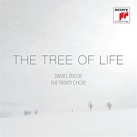 Daniel Taylor – The Tree of Life