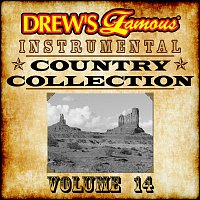 Přední strana obalu CD Drew's Famous Instrumental Country Collection Vol. 14