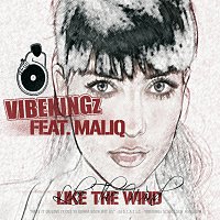 Vibekingz, Maliq – Like The Wind