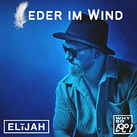 Feder im Wind [Why So Loco Mix]