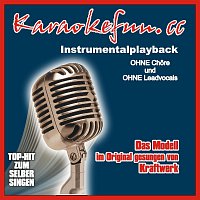 Das Model - Instrumental - Karaoke