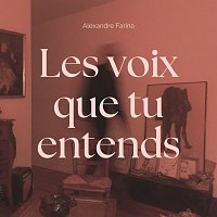 Alexandre Farina – Les voix que tu entends