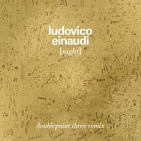 Ludovico Einaudi – Night [Doublepoint Remix]
