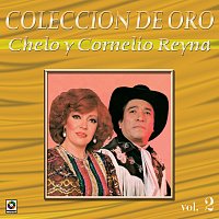 Přední strana obalu CD Colección de Oro: Conjunto Norteno, Vol. 2