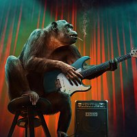 Polaris – Funk Company