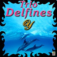 Trío Delfines – Y