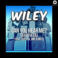 Wiley – Can You Hear Me? (ft. Skepta, JME & Ms D)