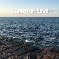 Ray Bloom – Came for Love