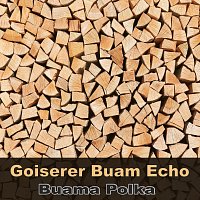 Goiserer Buam Echo – Buama Polka