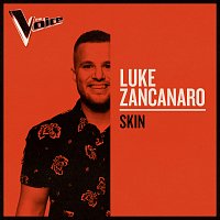 Luke Zancanaro – Skin [The Voice Australia 2019 Performance / Live]