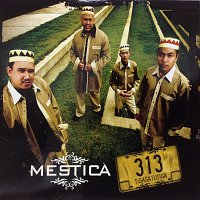 Mestica – 313
