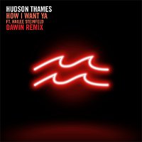 Hudson Thames, Hailee Steinfeld – How I Want Ya [Dawin Remix]