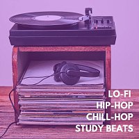 Různí interpreti – Lo-Fi Hip-Hop Chill-Hop Study Beats