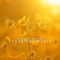 Chris Snelling, Nils Hahn, Bella Element, Robyn Goodall, Jonathan Sarlat – Peaceful Modern Classical Music