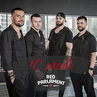 Red Parlament – 10 păcate