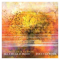 All I Hear Is Birds [Focus Rework]