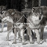Few Wolves, Freja Kirk – Never Know (Few Wolves VIP remix)