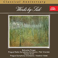 Přední strana obalu CD Classical Anniversary Works by Suk