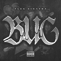 Flex Sinatra – Bug