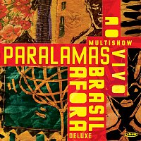 Přední strana obalu CD Multishow Ao Vivo Paralamas Brasil Afora [Ao Vivo / Deluxe]