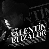 Přední strana obalu CD Tributo A Valentín Elizalde