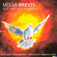 Různí interpreti – Missa Brevis for chamber orchestra
