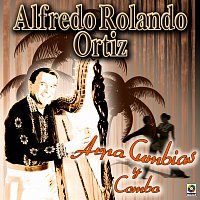 Přední strana obalu CD Arpa Cumbias y Combo