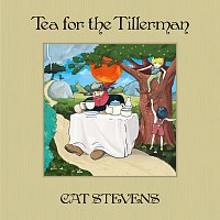 Přední strana obalu CD Tea For The Tillerman [Deluxe]