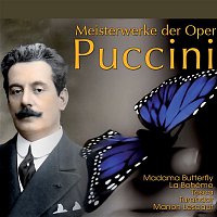 Přední strana obalu CD Meisterwerke der Oper: Giacomo Puccini