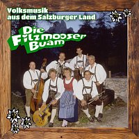 Volksmusik aus dem Salzburger Land