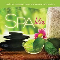 David Arkenstone, George Tortorelli – Spa - Bliss: Music For Massage, Yoga, And Sensory Rejuvenation