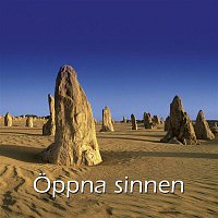 Uffe Borjesson, Rey-Ove Karlén – Oppna Sinnen (The SPA Collection)