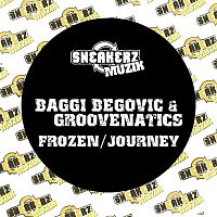 Baggi Begovic & Groovenatics – Frozen / Journey