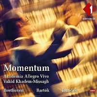 Academia Allegro Vivo – Momentum (Live)