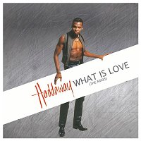Haddaway – What Is Love (The Mixes)