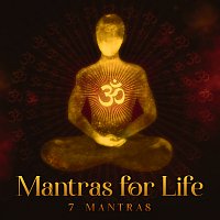 Různí interpreti – Mantras For Life