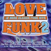 Různí interpreti – Love Funk 2