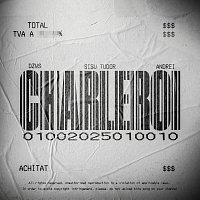 DZWS, Sisu Tudor, andrei – CHARLEROI