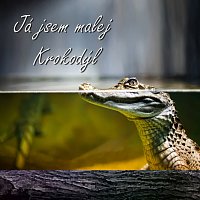 Zdeněk Harant – Já jsem malej krokodýl (I am small Crocodile) FLAC