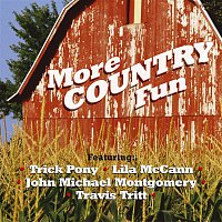 More Country Fun – More Country Fun