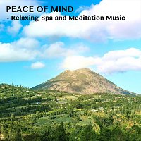 Zen Ken, Spa Feeling, Soulfood – Peace of Mind - Relaxing Spa and Meditation Music