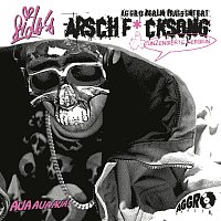 Přední strana obalu CD Arschficksong