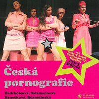 Různí interpreti – Česká pornografie (Umělohmotný třípokoj)
