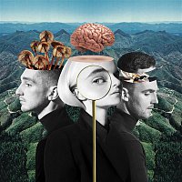 Clean Bandit – What Is Love? (Deluxe) MP3