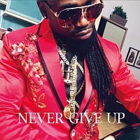 DS Unit – Never Give Up