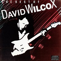 David Wilcox – The Best Of David Wilcox